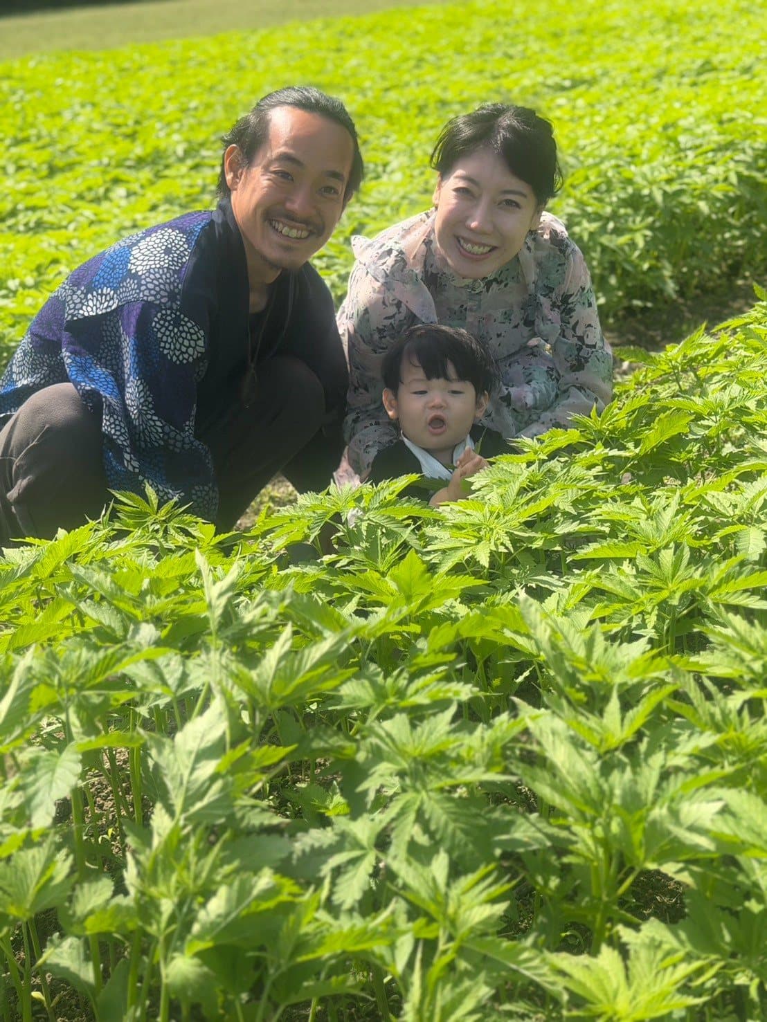 若い麻畑にしゃがんで笑う家族3人