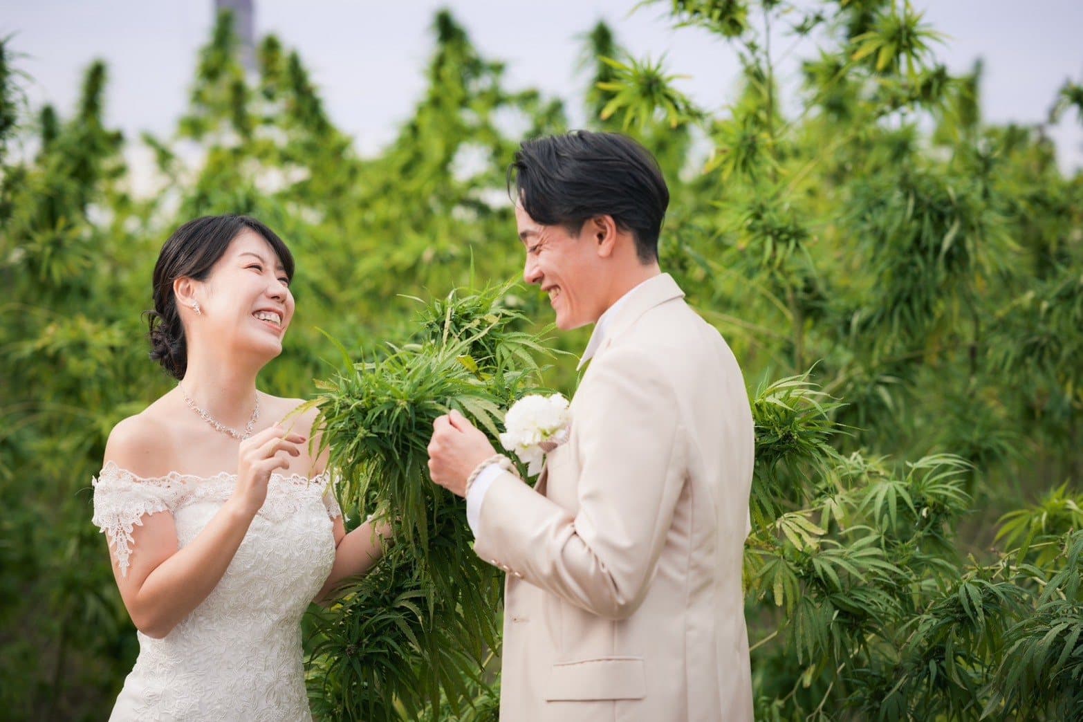 麻畑での結婚写真